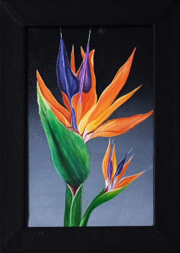 Bird of Paradise