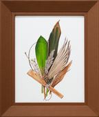 Botanical Fragments — III