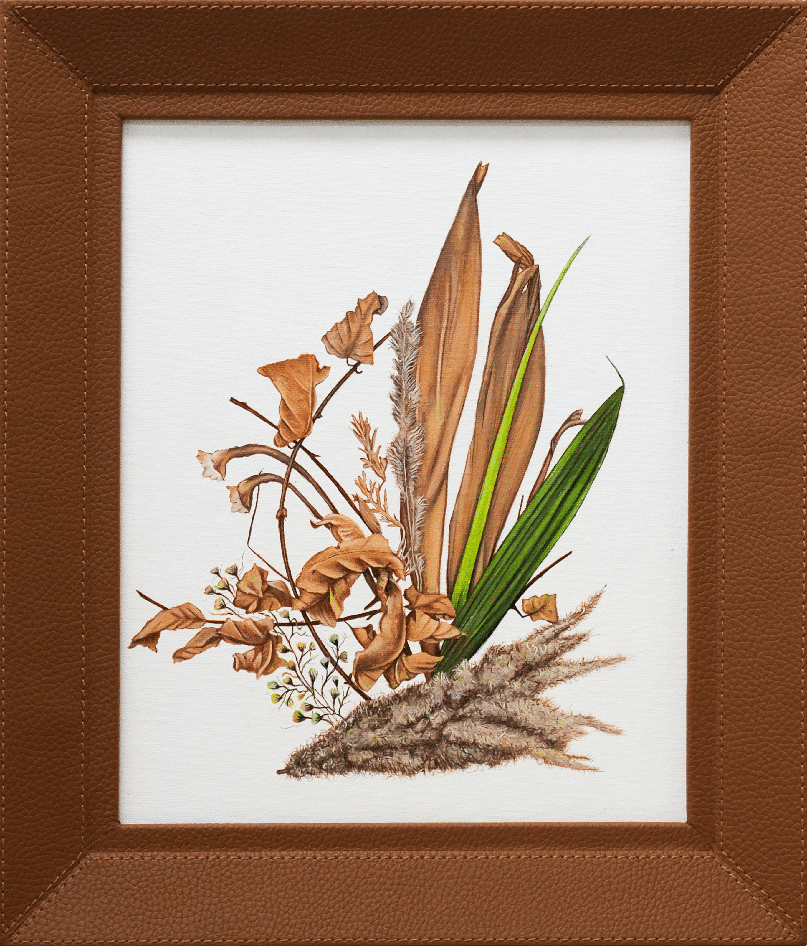 Botanical Fragments — II