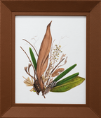 Botanical Fragments — IV