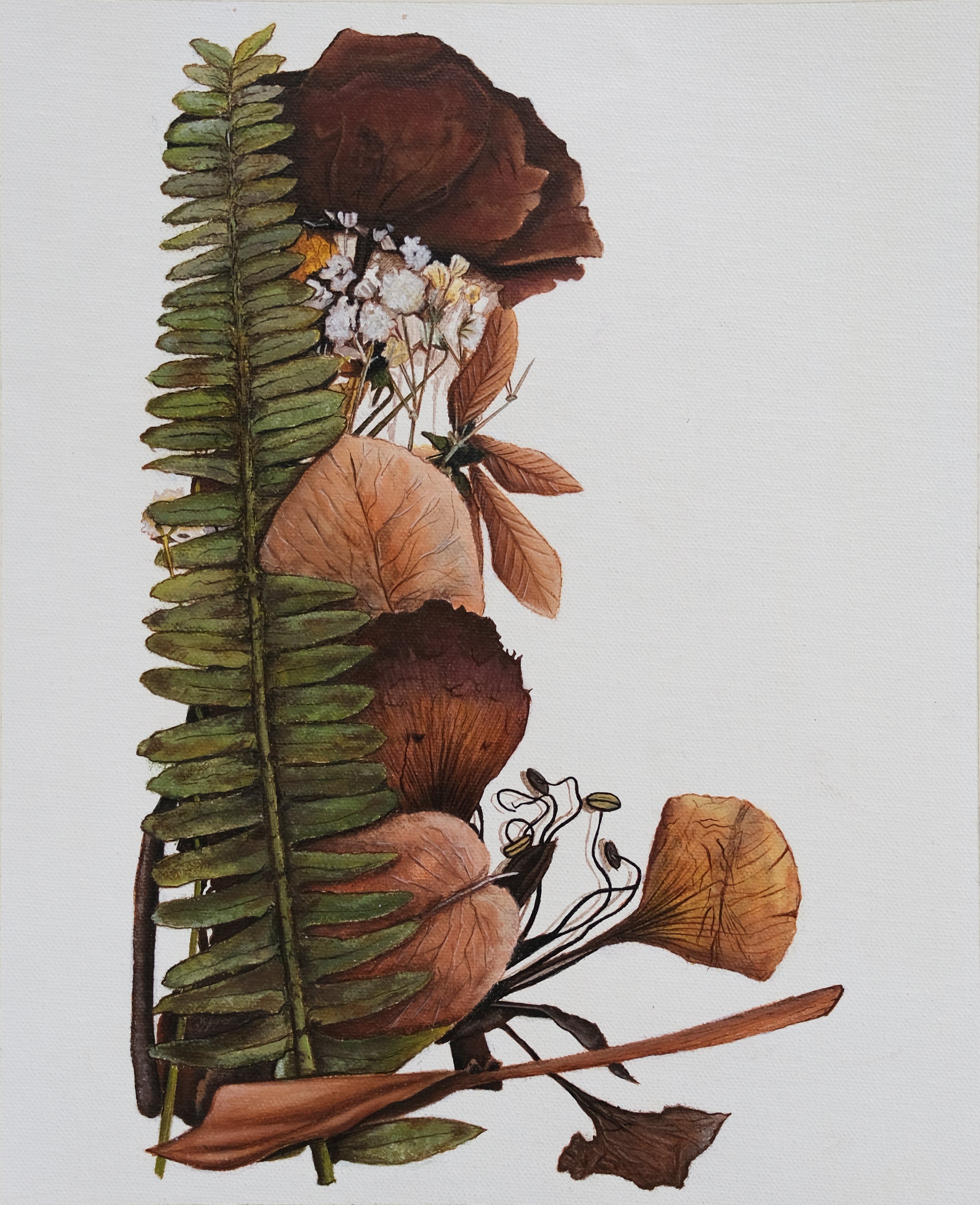 Botanical Fragments — I