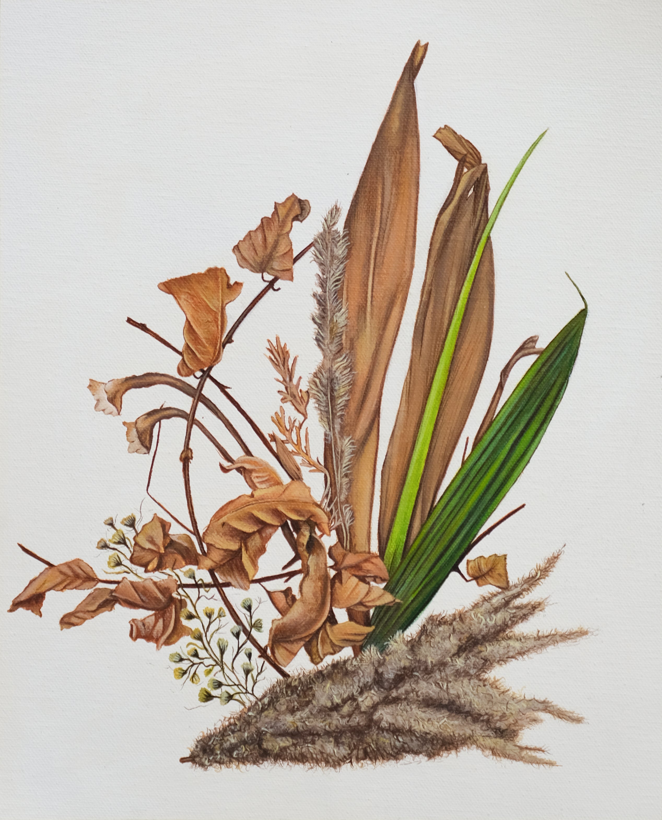 Botanical Fragments — II