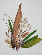 Botanical Fragments — IV