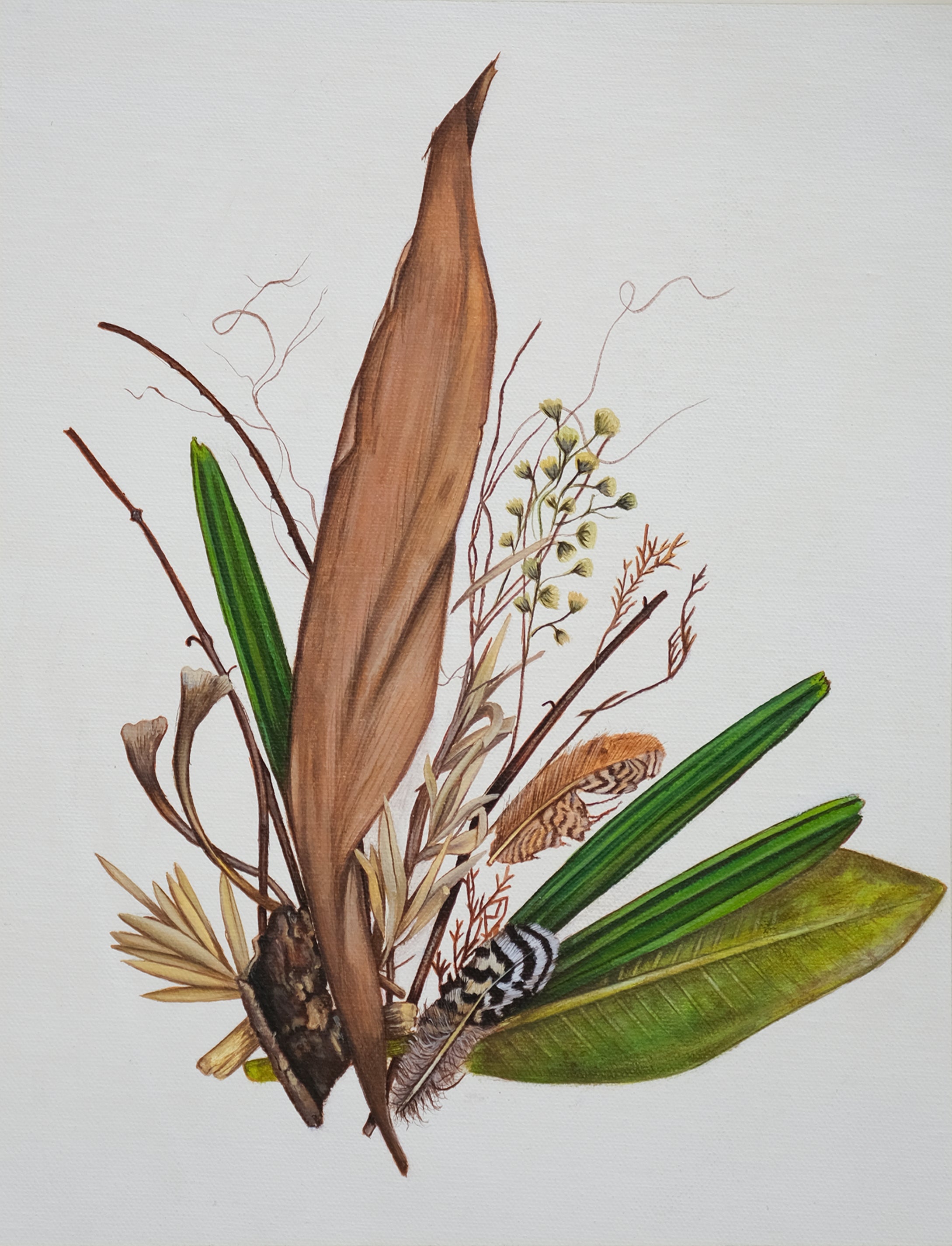 Botanical Fragments — IV