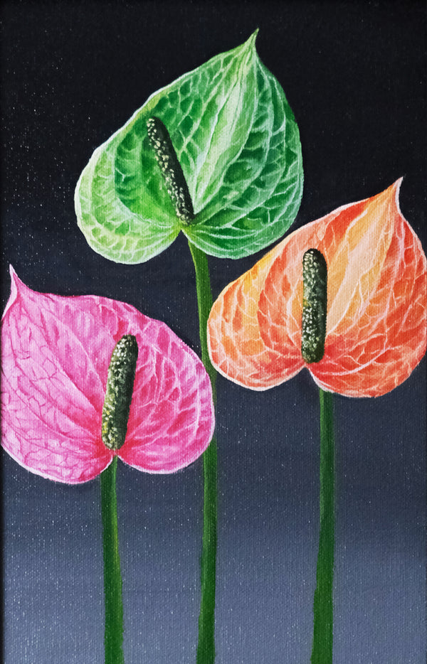 Flamingo Flower