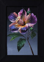 Hibiscus Hybrid