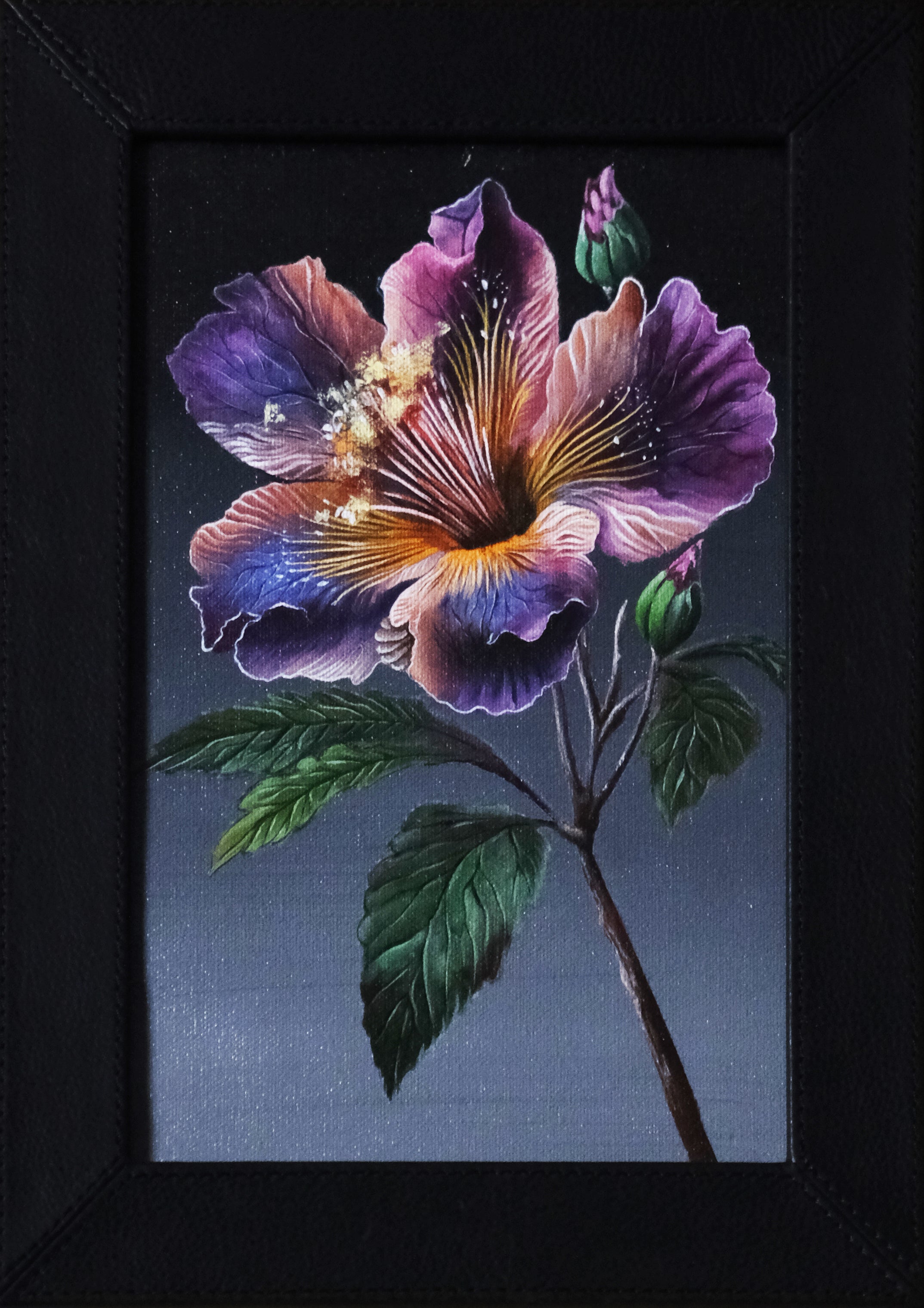 Hibiscus Hybrid