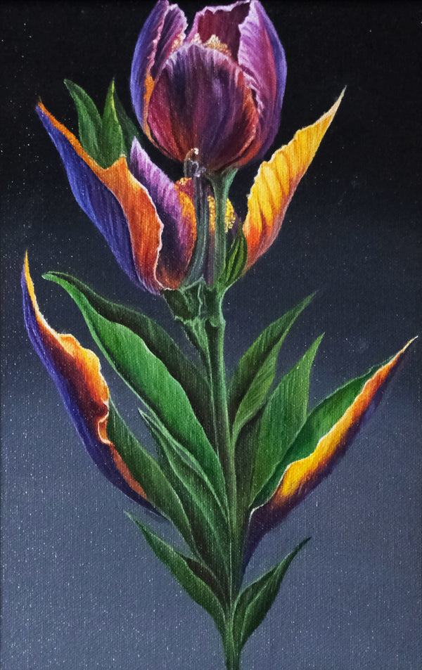 Parrot Tulip