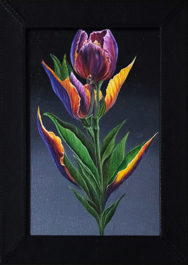 Parrot Tulip