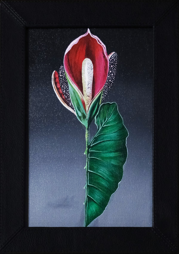 Pitcher Plant