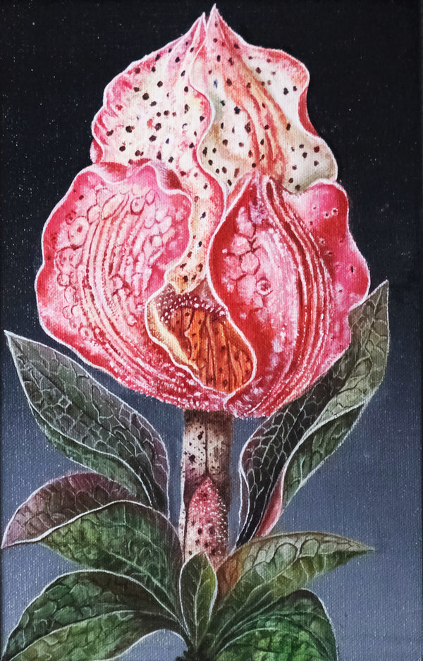 Speckled Bloom