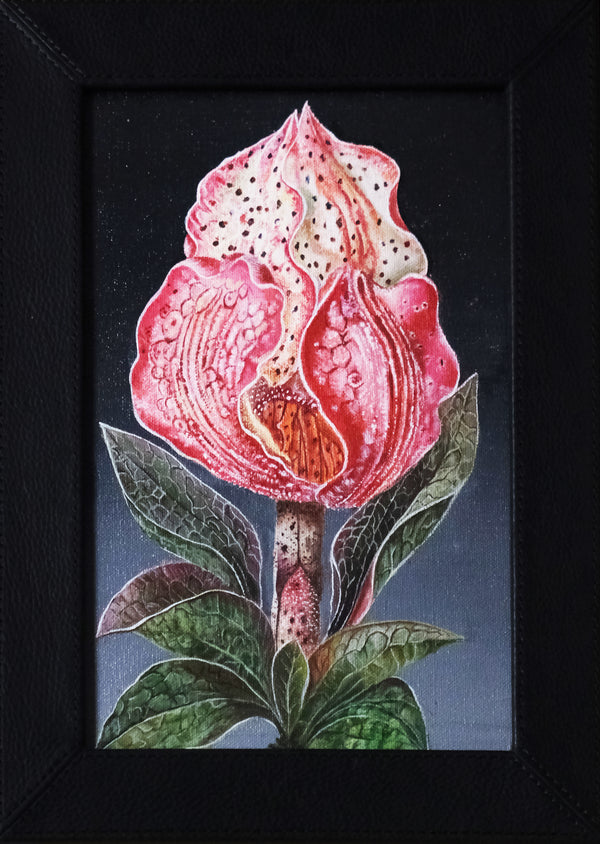 Speckled Bloom