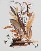 The Sun Dried – II