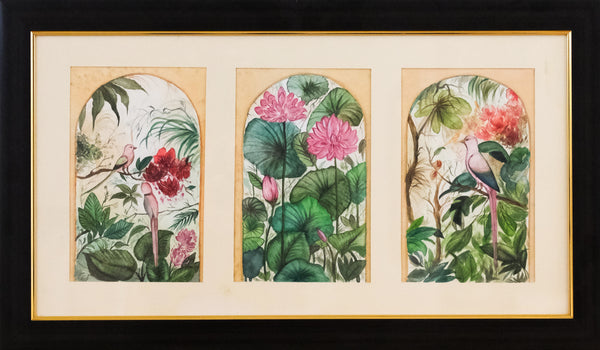 Tropics in Bloom