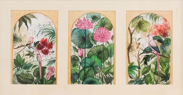 Tropics in Bloom
